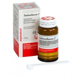 CEMENTO ENDOMETHASONE