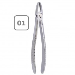 FORCEP ADULTO MOD. 01 PLUS